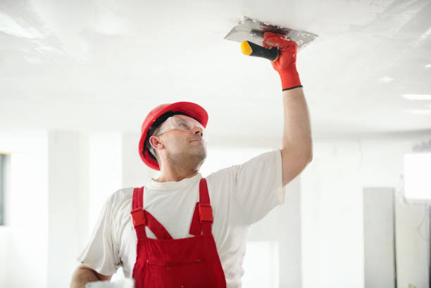  Northfield, KY Dry wall and painting Pros